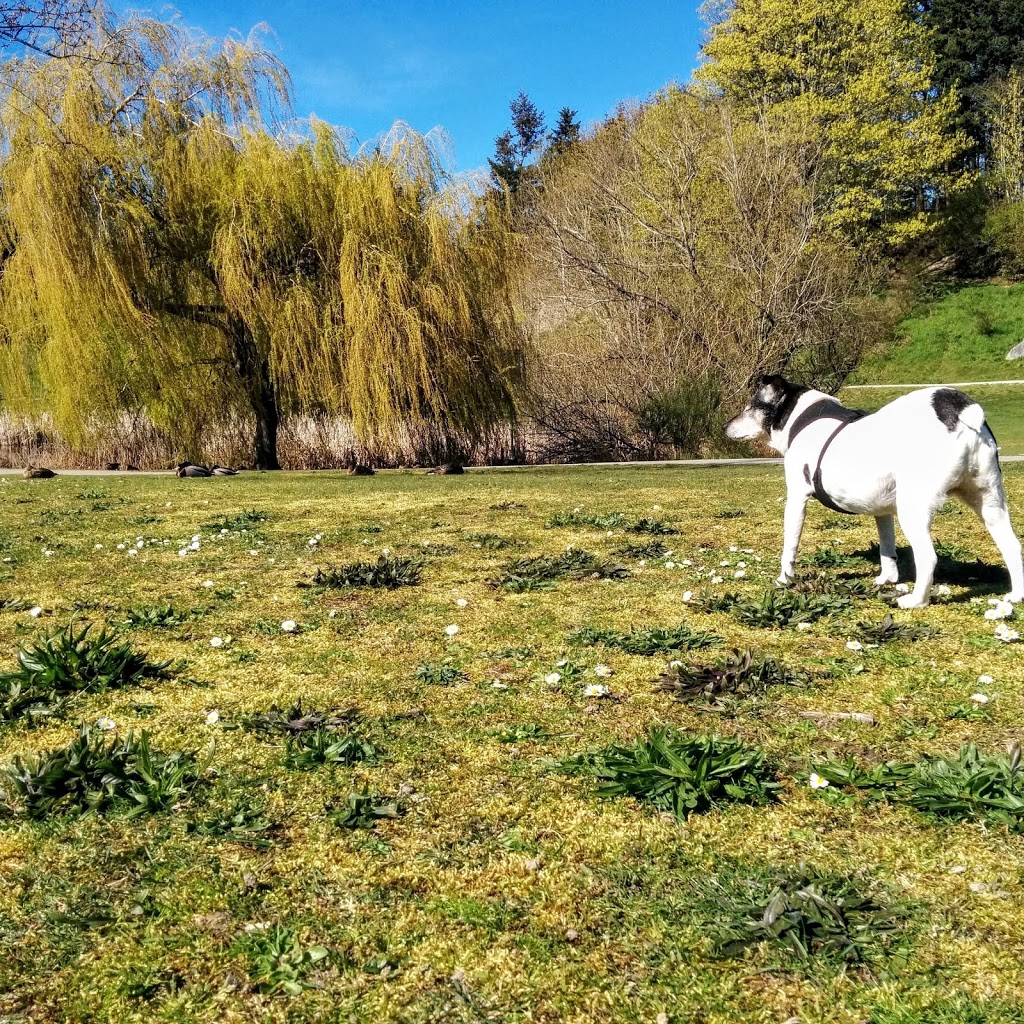 Tsawwassen Animal Hospital Ltd | 1835 56 St, Delta, BC V4L 2B4, Canada | Phone: (604) 943-9385