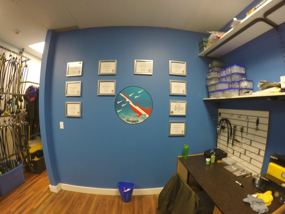 École de plongée Carlos Lopez | 5550 Boulevard des Forges, Trois-Rivières, QC G8Y 1X7, Canada | Phone: (819) 995-3333