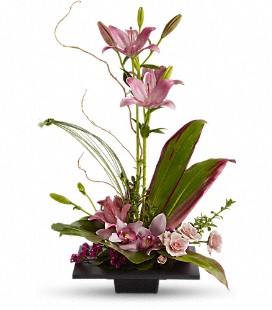 The Tree House Flower Shoppe | 3805 10 Ave SW, Calgary, AB T3C 0K8, Canada | Phone: (403) 282-9134