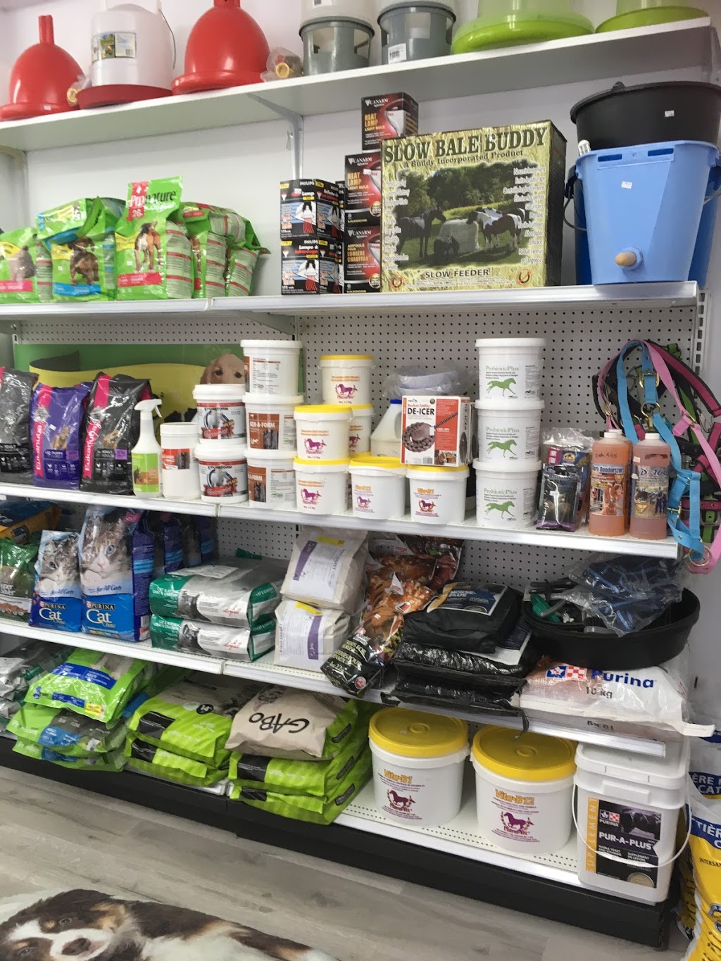 Nutrition Animale St-Pie | 252 Chemin de Saint-Dominique, Saint-Pie, QC J0H 1W0, Canada | Phone: (450) 772-2225