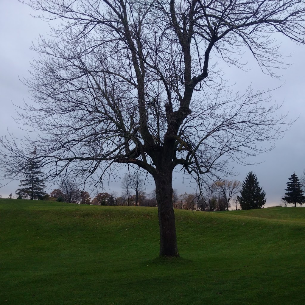 Starks Golf Course | 60 Dedrick Rd, Port Rowan, ON N0E 1M0, Canada | Phone: (519) 586-2802