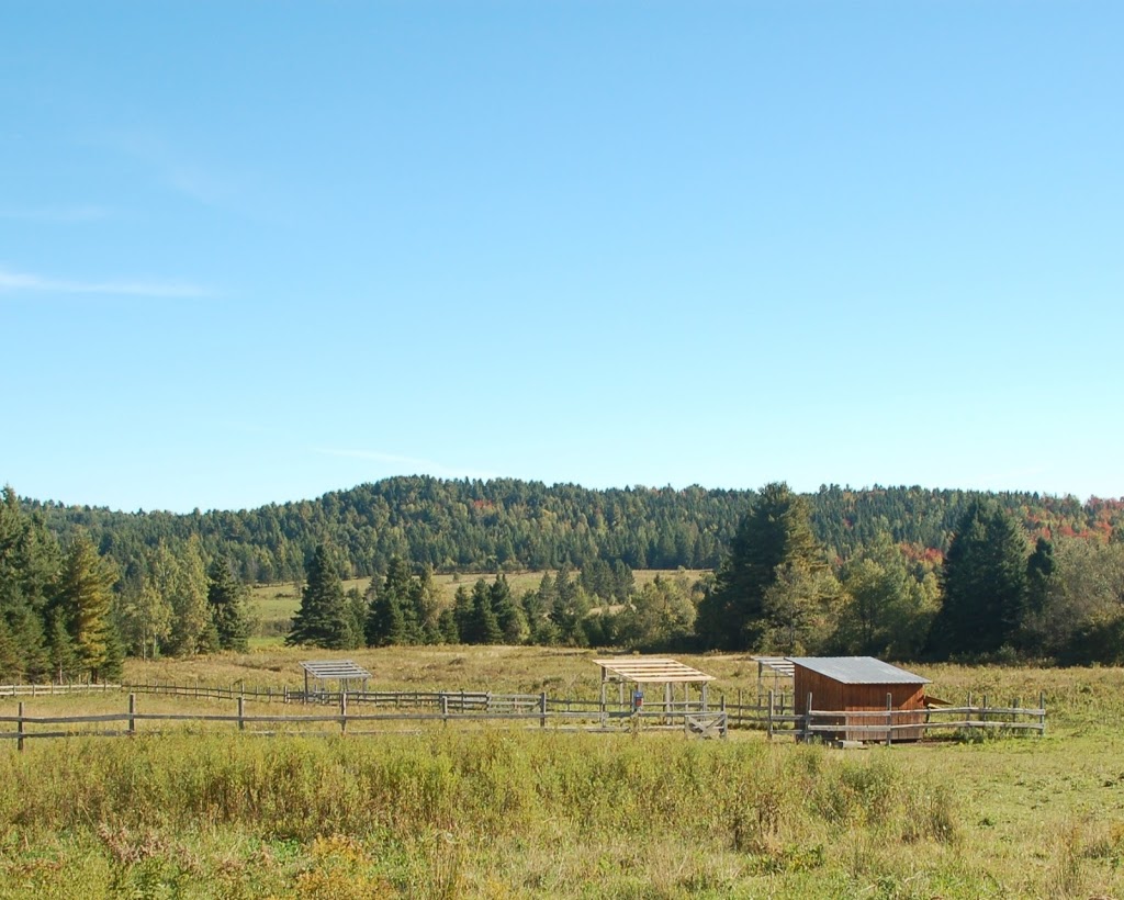 Le Monde dHugo | 1650 QC-161, Beaulac-Garthby, QC G0Y 1B0, Canada | Phone: (581) 228-2828