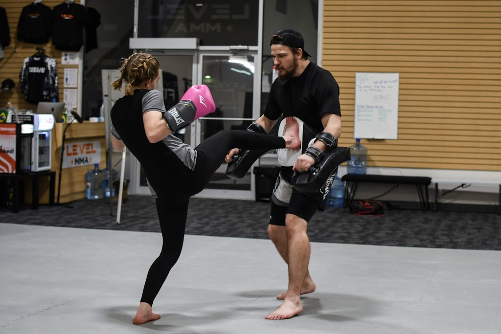 Level MMA | 201 S Railway Ave #8, Winkler, MB R6W 1J9, Canada | Phone: (431) 775-7780