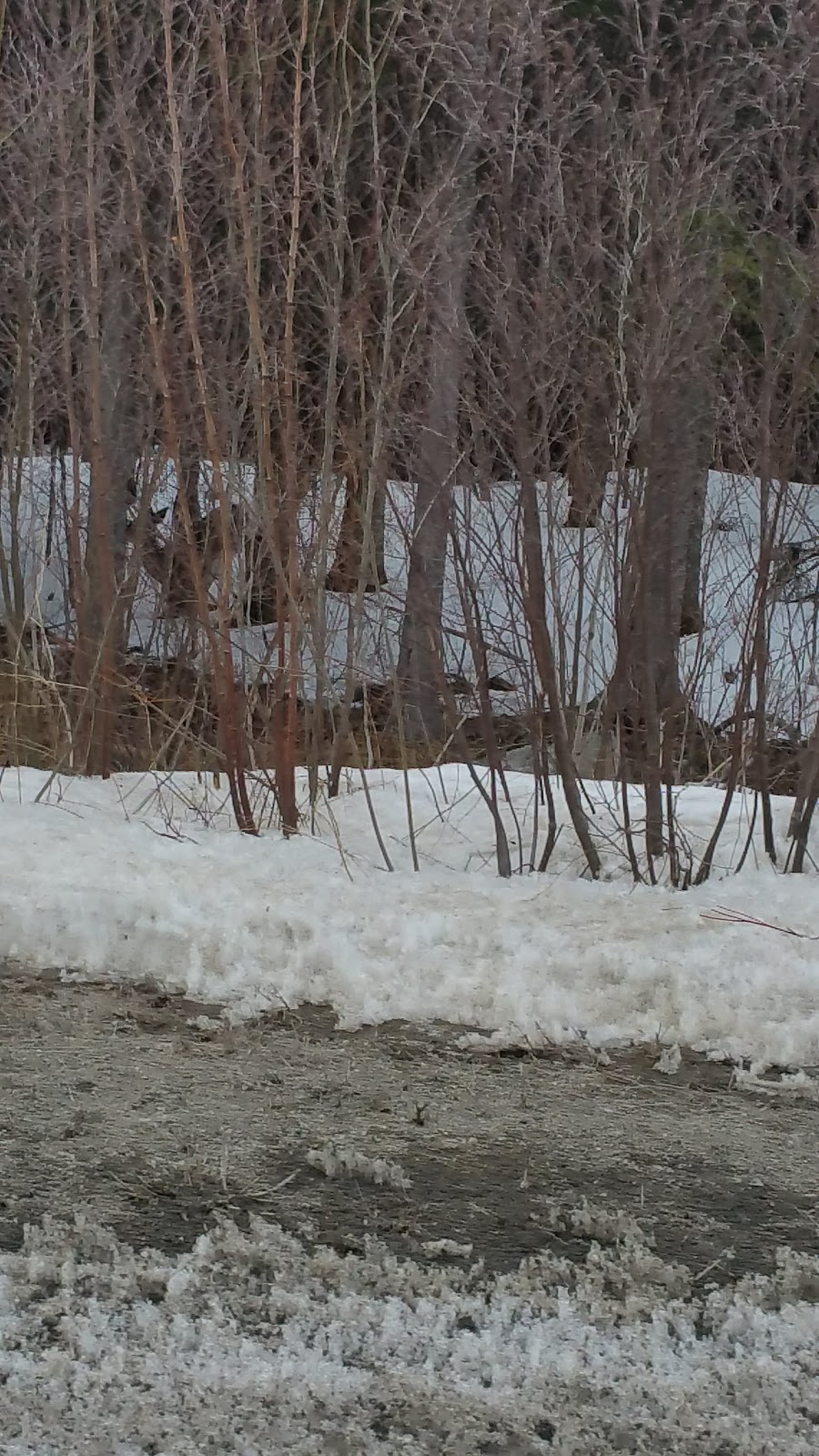 Belle Chasse & Peche Inc | 68 Chem. du Lac-des-Cèdres, Saint-Malachie, QC G0R 3N0, Canada | Phone: (418) 642-2955