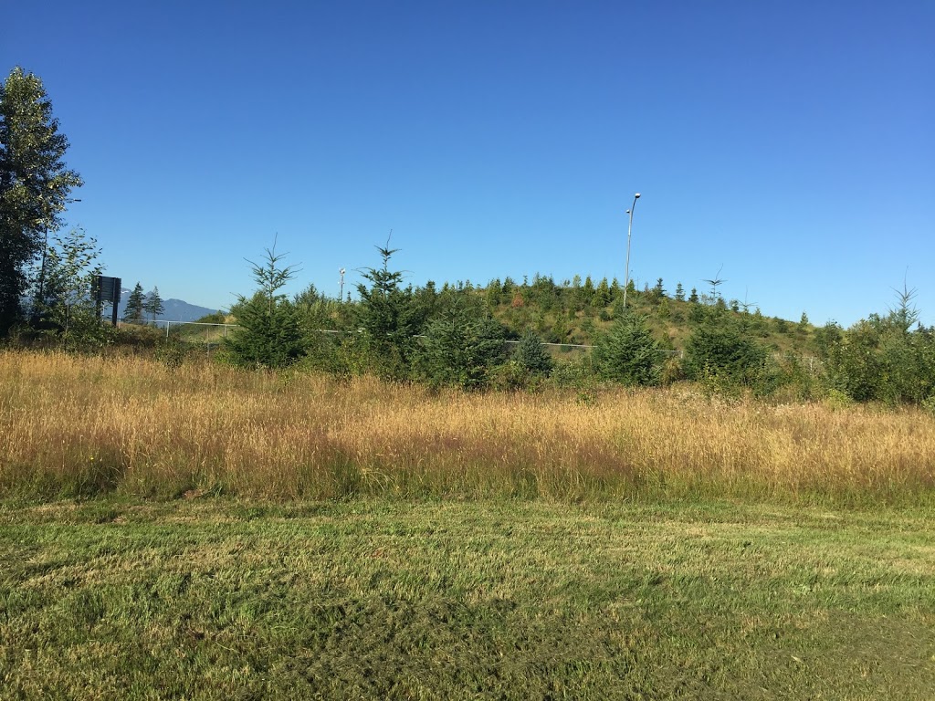 Tynehead Perimeter Trail | Tynehead Perimeter Trail, Surrey, BC V4N 6H4, Canada
