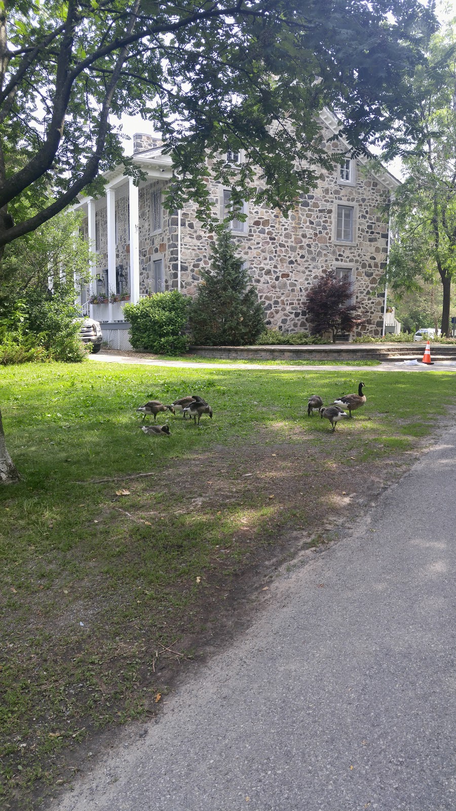 Parc du Village | 5 Rue Lakeview, Saint-Bruno-de-Montarville, QC J3V 3V1, Canada