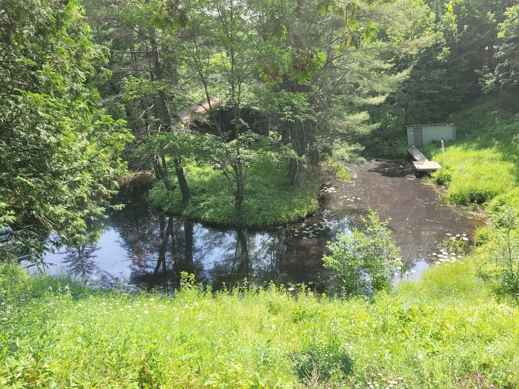 Muskoka Creekside Escape | 19 Hooey Ln, Bracebridge, ON P1L 1X2, Canada | Phone: (416) 587-2085