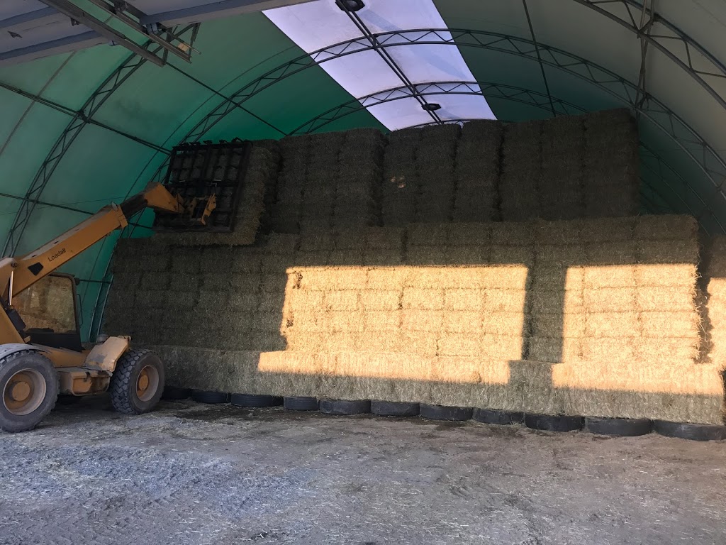 West nipissing sanitation | 694 Olivier Rd, Verner, ON P0H 2M0, Canada | Phone: (705) 594-2717