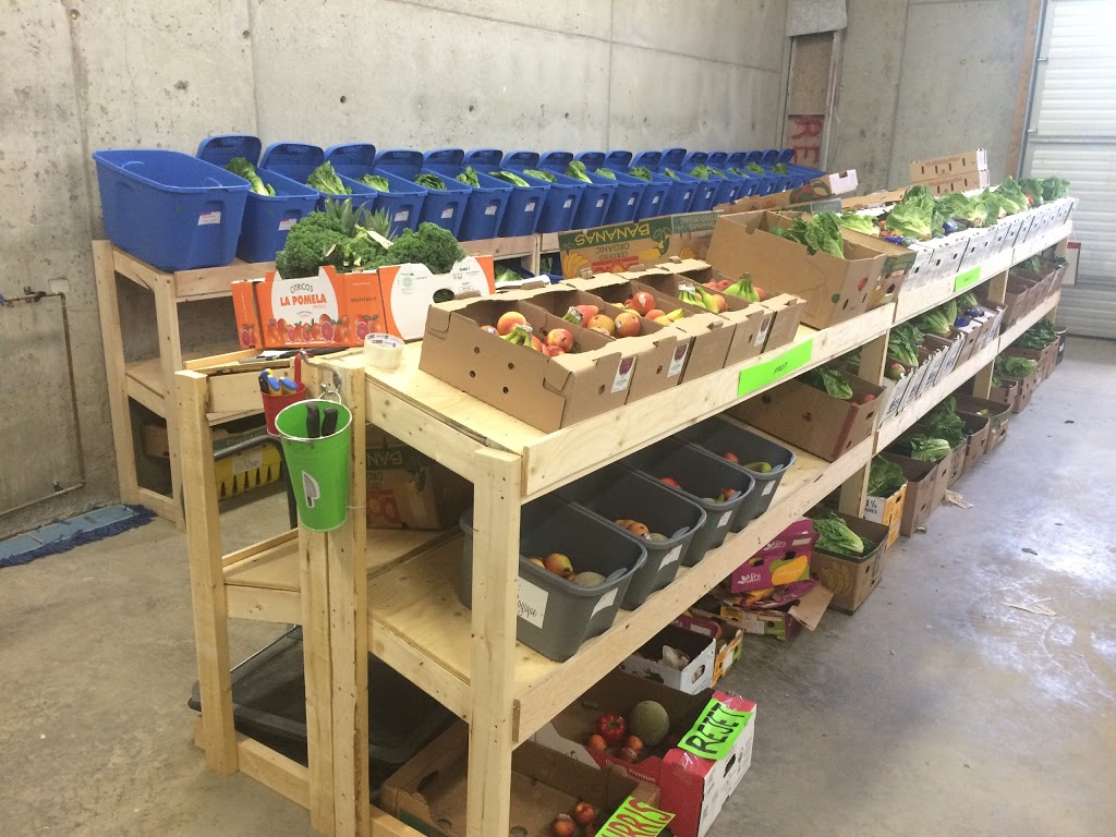 La boîte Bio-Logique | 1467 Montée Paiement, Cantley, QC J8V 3W3, Canada | Phone: (819) 506-6246