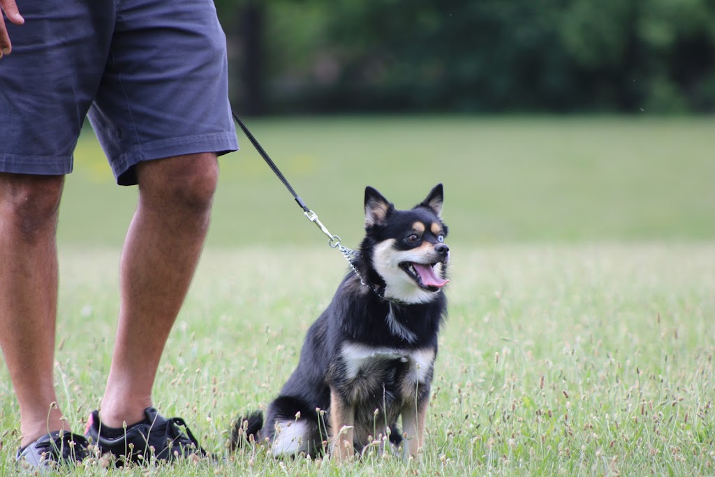 Barbosa k9s | 22 Bunting Dr, Brampton, ON L6Y 2H5, Canada | Phone: (647) 248-2411
