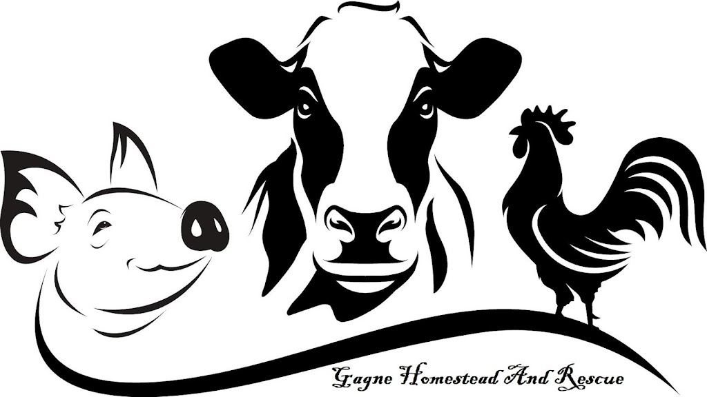 Gagne Homestead And Rescue | 5648 County Rd No 29, Almonte, ON K0A 1A0, Canada | Phone: (613) 293-4494