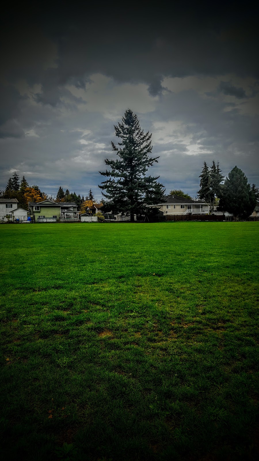 Betty Huff Elementary | 13055 Huntley Ave, Surrey, BC V3V 1V1, Canada | Phone: (604) 585-3104