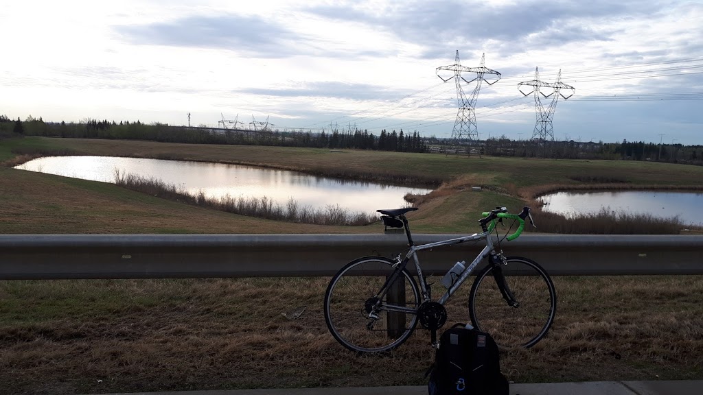 Big Bear Park | 1312 109 St NW, Edmonton, AB T6J 5X9, Canada