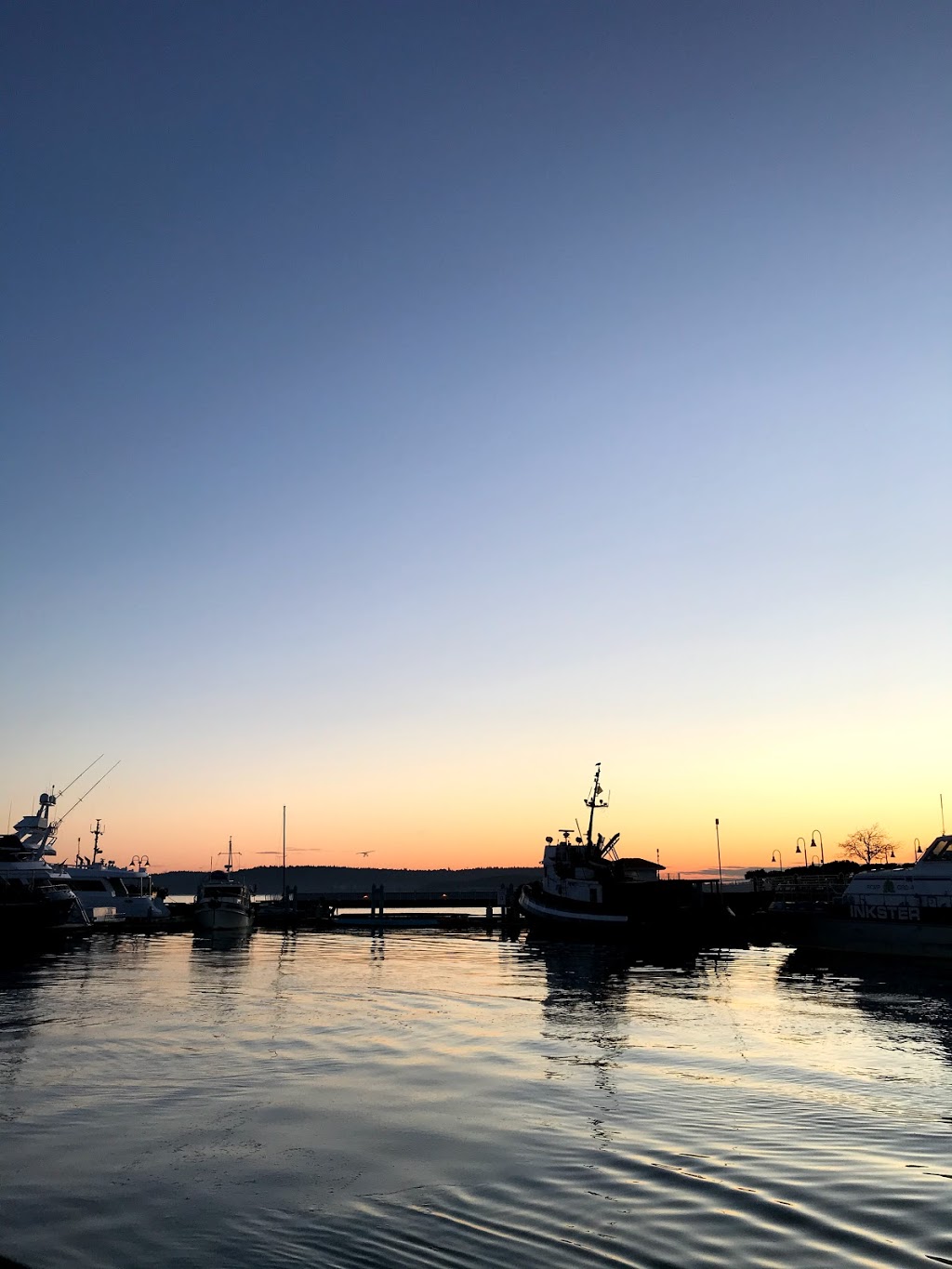 Petro-Canada Marine | 10 Wharf St, Nanaimo, BC V9R 2X3, Canada | Phone: (250) 754-7828