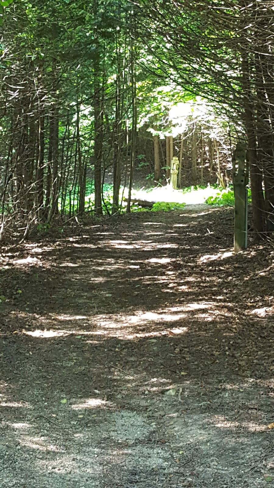Talisman Mountain Springs Inn and Golf | 150 Talisman Mountain Dr, Kimberley, ON N0C 1G0, Canada | Phone: (226) 910-1395