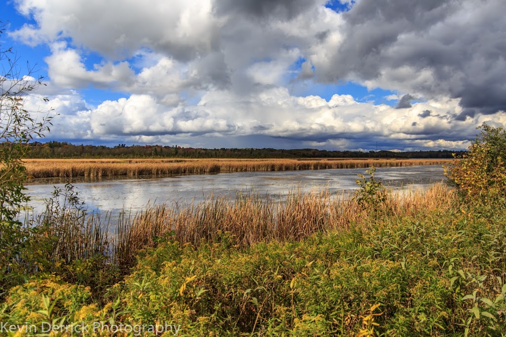 Marshland Centre | 64 Hague Blvd, Lakefield, ON K0L 2H0, Canada | Phone: (705) 292-9507