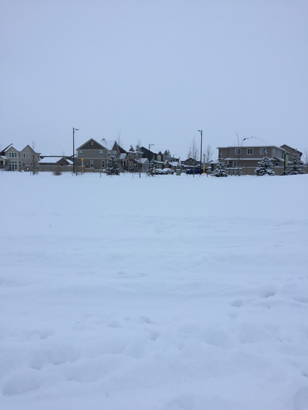 Playground | Allard, Edmonton, AB T6W 1A8, Canada