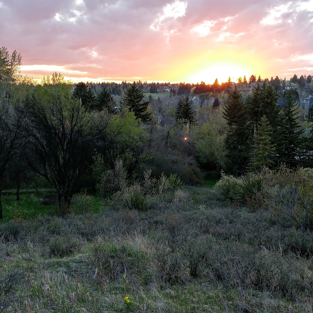 Britannia Off-leash Area | 4403 10 St SW, Calgary, AB T2S 1J4, Canada