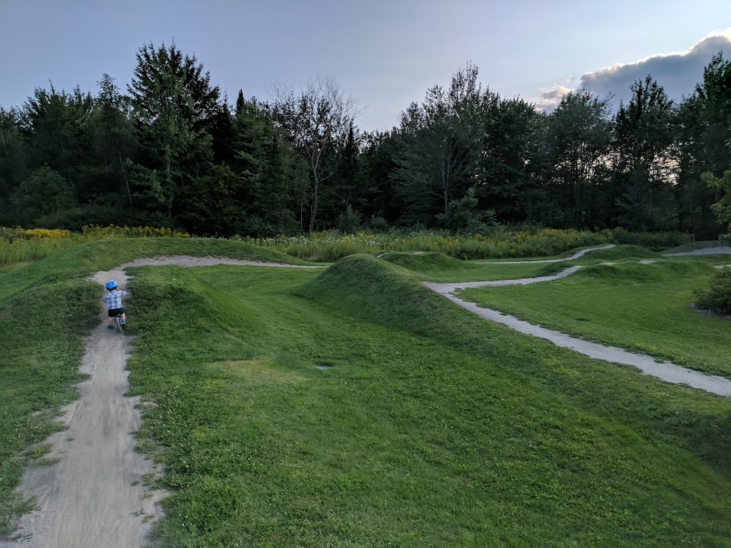Parc Brodeur | 59 Rue de Marieville, Granby, QC J2H, Canada | Phone: (450) 776-8282
