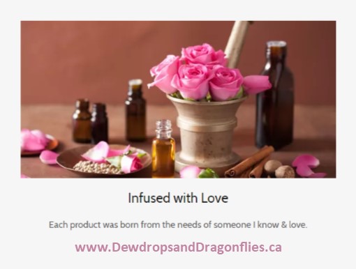 Dewdrops & Dragonflies | 247 Hodgson Dr, Newmarket, ON L3Y 1E3, Canada | Phone: (416) 786-1497