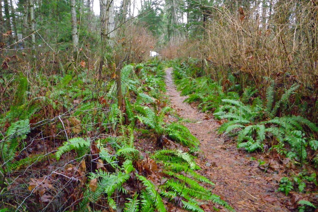 Loxley Park | 5955 Loxley Rd, Courtenay, BC V9J 1V9, Canada | Phone: (250) 334-6000