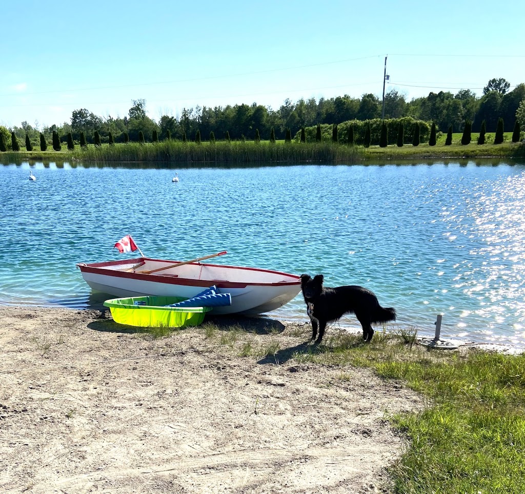 RailsideK9Resort | 281 Colton St, Colborne, ON K0K 1S0, Canada | Phone: (647) 554-3647