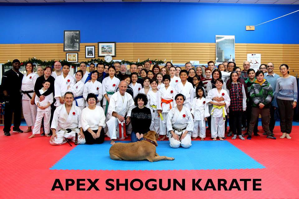 Zelli Shogun Karate Association | 16741 Boul Hymus, Kirkland, QC H9H 3L4, Canada | Phone: (514) 231-0122