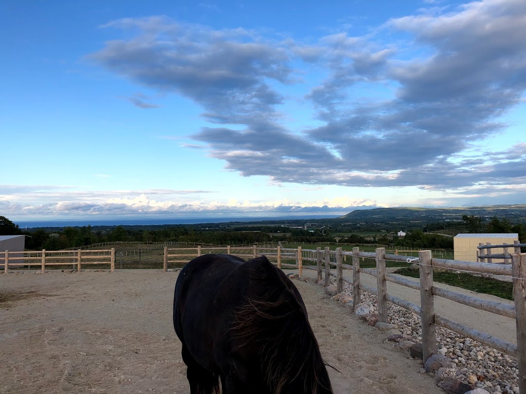 Harmony Ridge Equestrian Center | Grey Highlands, ON N0H 1J0, Canada | Phone: (705) 888-7669
