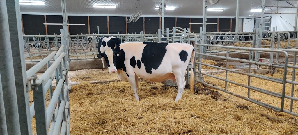 Heather Holme Holtseins | 36682 Gore Rd, Goderich, ON N7A 3Y3, Canada | Phone: (519) 524-4696