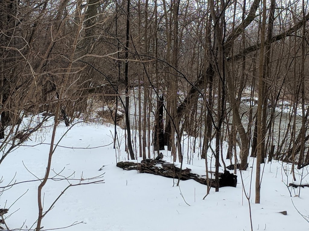 Mill Valley Park | 412 Mill Rd, Toronto, ON M9C, Canada | Phone: (416) 338-4386