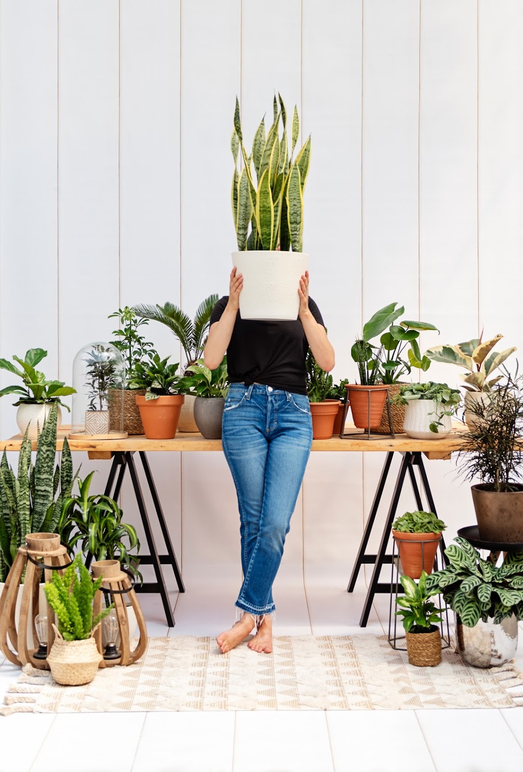 Les Jardins de la Passion - Floral Design Plus | 1052 Boulevard Vachon S, Sainte-Marie, QC G6E 2S5, Canada | Phone: (418) 386-2380