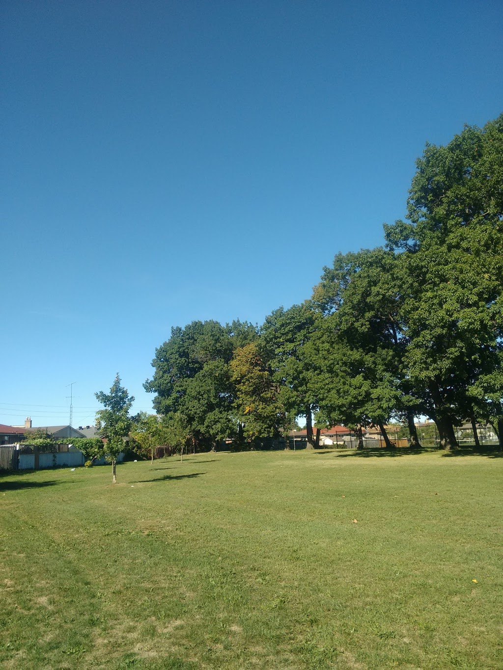 Gracedale Park | 176 Gracedale Blvd, North York, ON M9L 2C1, Canada | Phone: (416) 392-2489