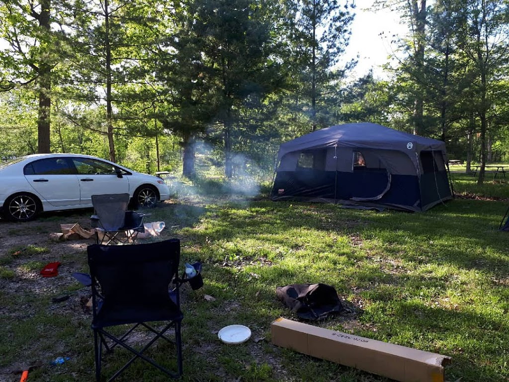 Byng Island Conservation Area | 4969 County Road 20, Dunnville, ON N1A 2W8, Canada | Phone: (905) 774-5755