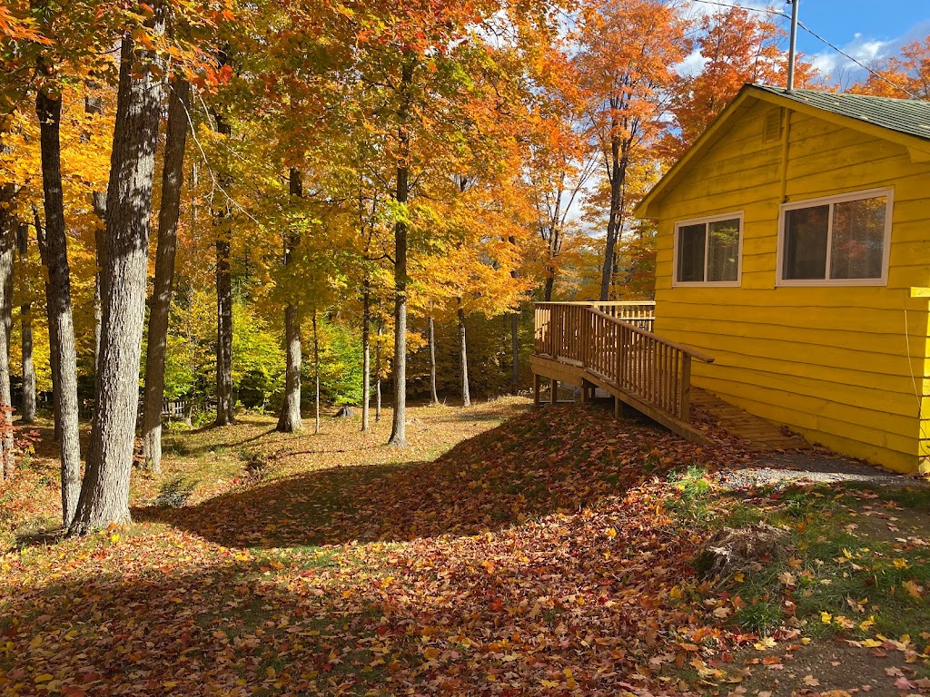 Highland Grove Camping by the Lake | 7052 Loop Rd, Highland Grove, ON K0L 2A0, Canada | Phone: (647) 946-4949