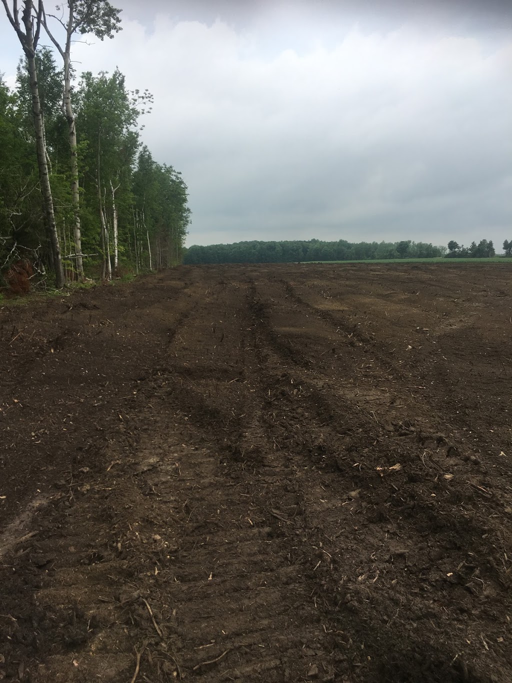 MARVARA | 7835 6 Line, Drayton, ON N0G 1P0, Canada | Phone: (519) 501-6571