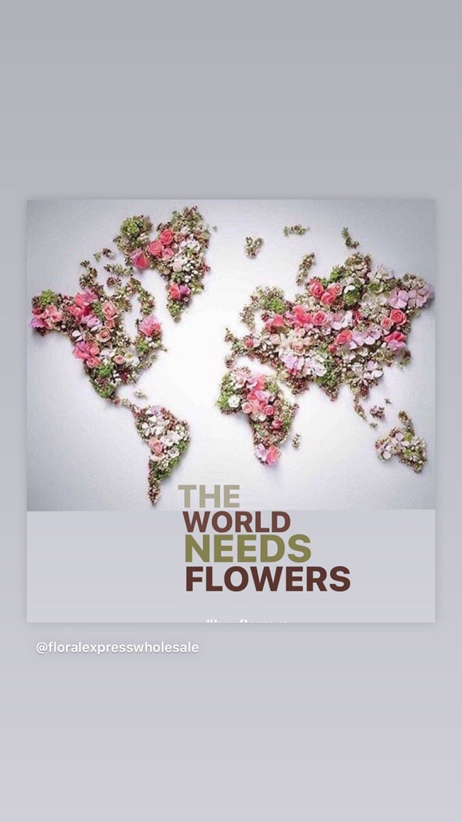 Adourian Florals | 18 Pebblecreek Dr, Kitchener, ON N2A 4J8, Canada | Phone: (519) 404-5156