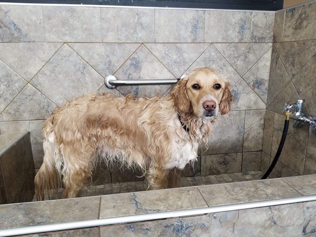 Bosleys by Pet Valu | 4731 Mcclelland Rd, Richmond, BC V6X 0M5, Canada | Phone: (604) 214-9937