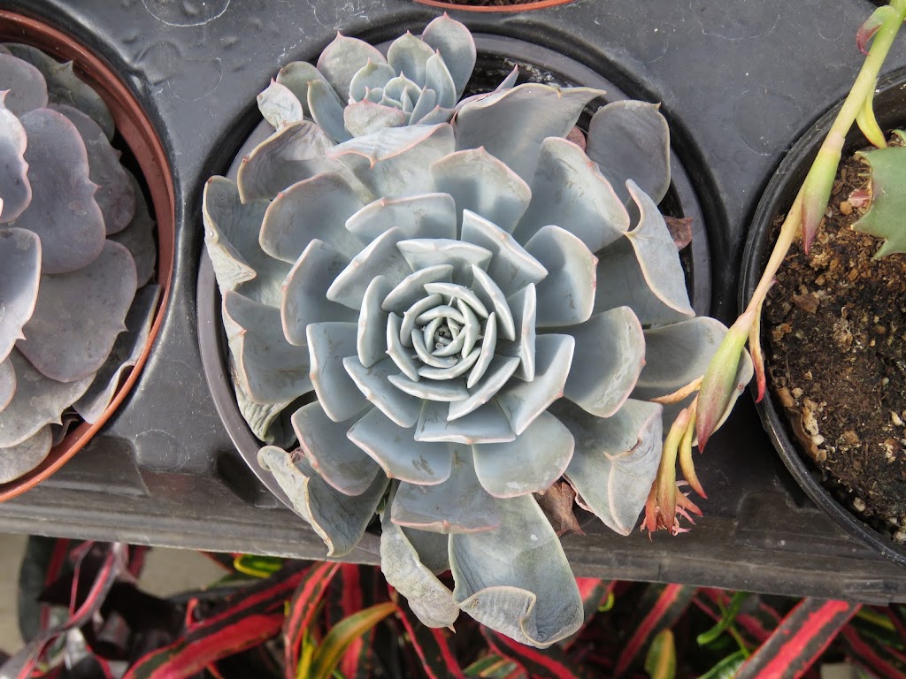 Salisbury Landscaping | 52337 Range Rd 232, Sherwood Park, AB T8B 1B8, Canada | Phone: (780) 410-0611