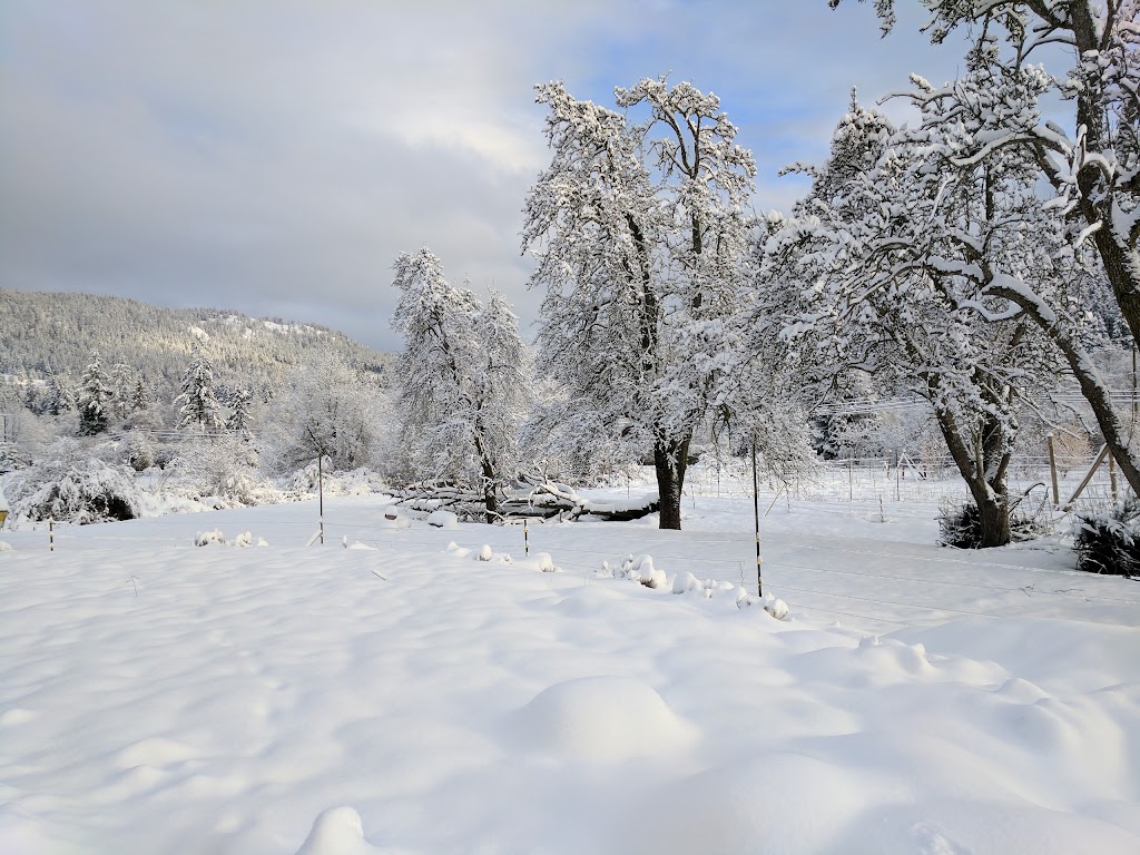 EcoReality Sustainable Land Use and Education Cooperative | 2152 Fulford-Ganges Rd, Salt Spring Island, BC V8K 1Z7, Canada | Phone: (250) 653-2024