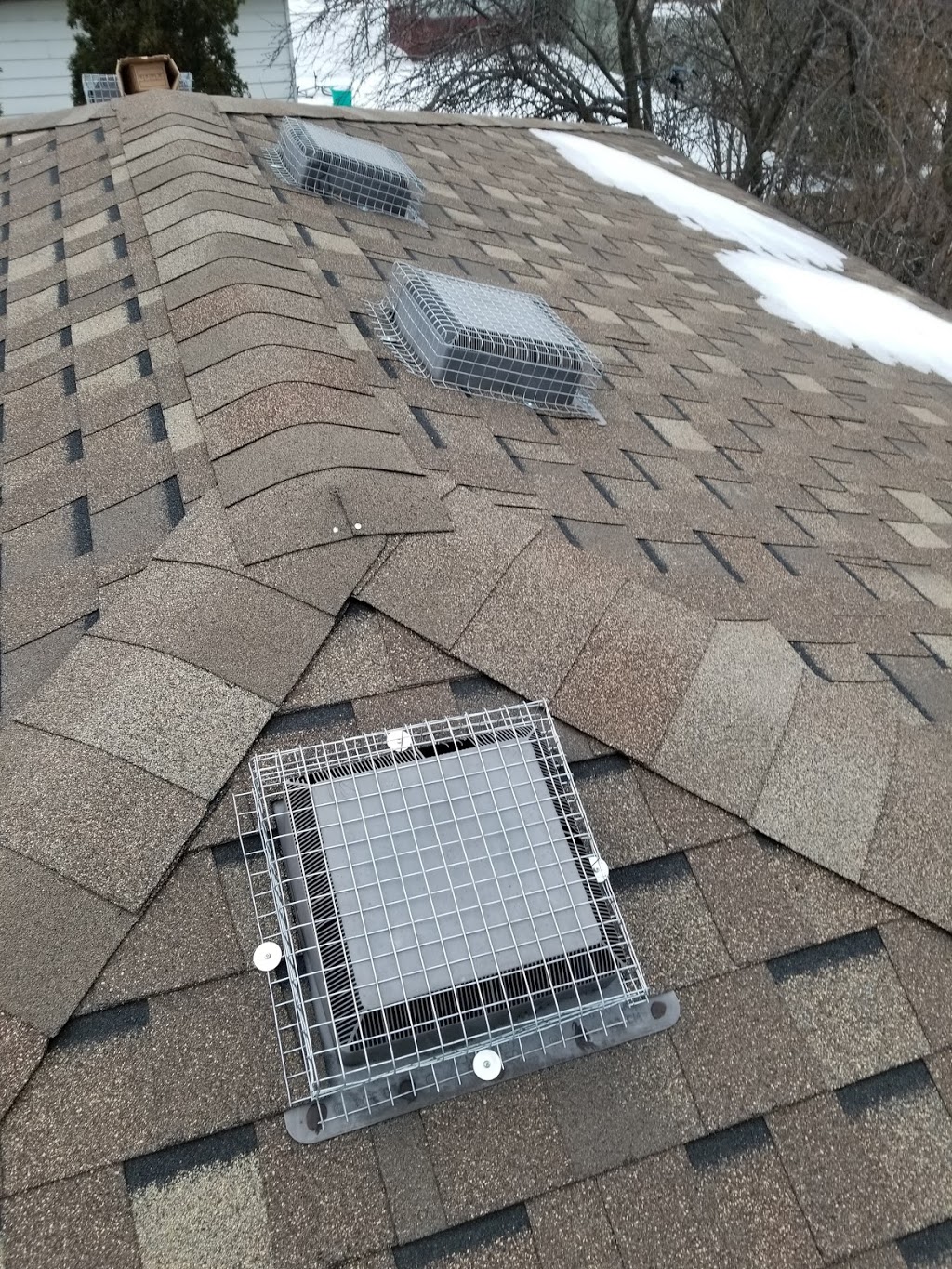 Durapest Wildlife Removal and Pest Control | 3 Swales Crescent, Brampton, ON L6R 0G4, Canada | Phone: (905) 782-6332
