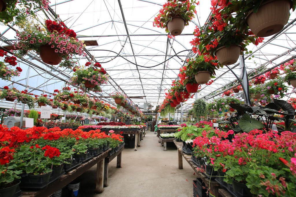 Fl;euriste et Centre de jardin Terre Nature Inc | 4515 Boulevard Saint-Joseph, Drummondville, QC J2A 1A9, Canada | Phone: (819) 479-0837