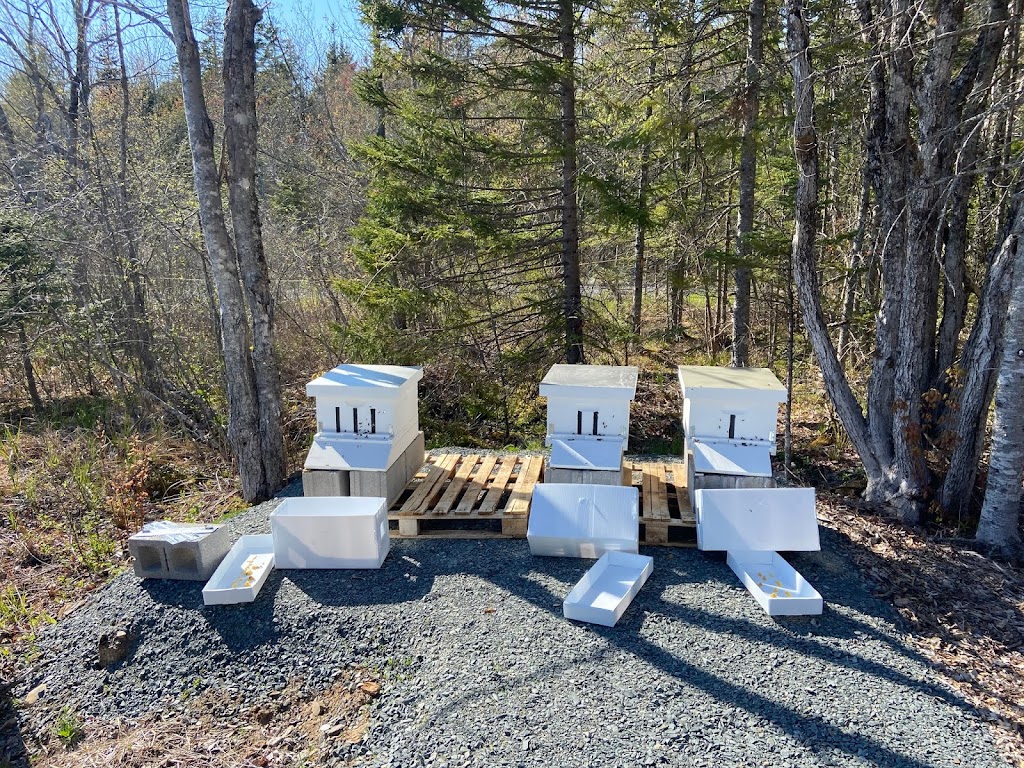 Country Fields Beekeeping Supplies Ltd. | 11 Falls Run, Fall River, NS B2T 0T4, Canada | Phone: (877) 505-6363