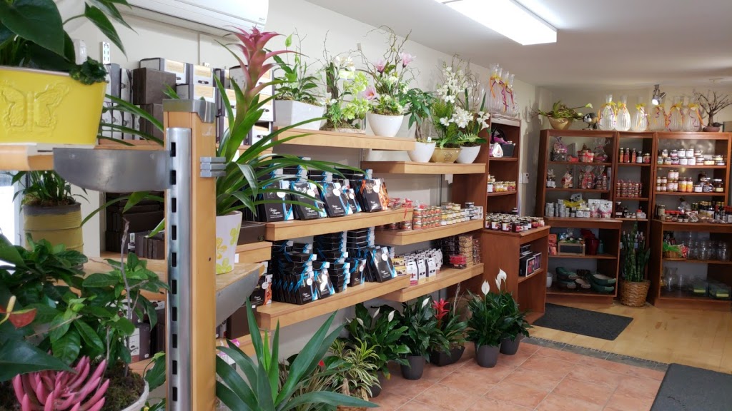 Fleuriste Daluka | 2259 Boulevard Guillaume-Couture, Saint-Romuald, QC G6W 2S2, Canada | Phone: (418) 834-6661
