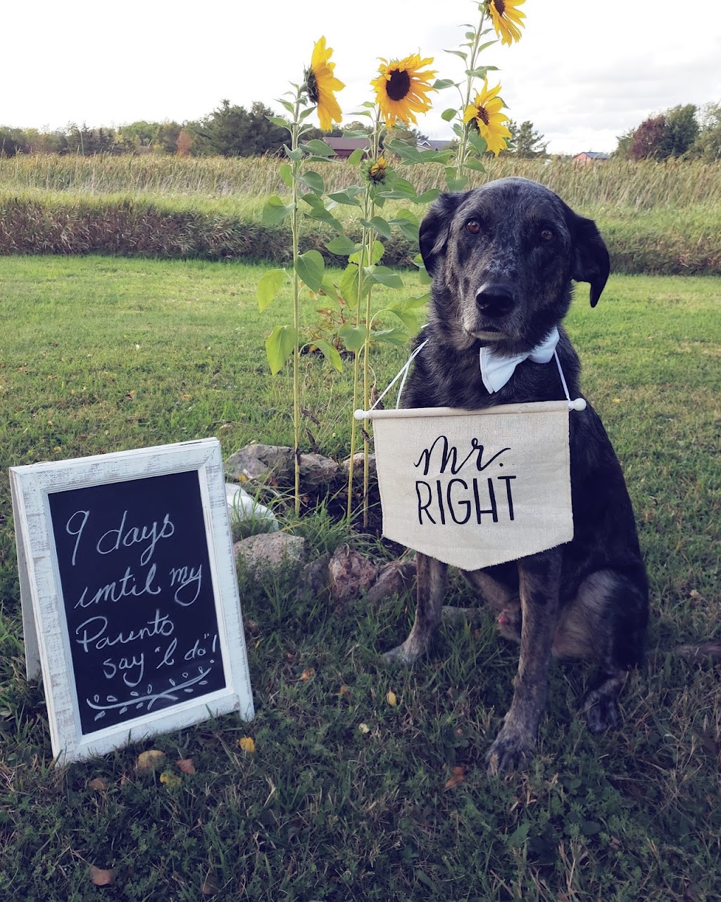 Christine Cooper - Celebrant & Officiant | 124 Fourth St, Midland, ON L4R 3T2, Canada | Phone: (705) 526-8343