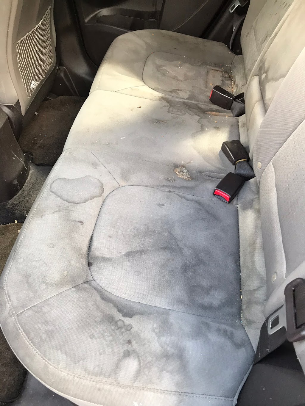 Kenny Js Mobile Detailing | 577 Stuart St, Hope, BC V0X 1L4, Canada | Phone: (604) 997-2421
