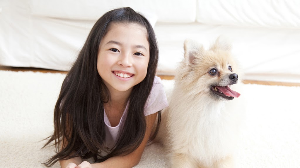 Elgin Mills Animal Hospital | 1285 Elgin Mills Rd E #11, Richmond Hill, ON L4S 0B5, Canada | Phone: (905) 237-2828