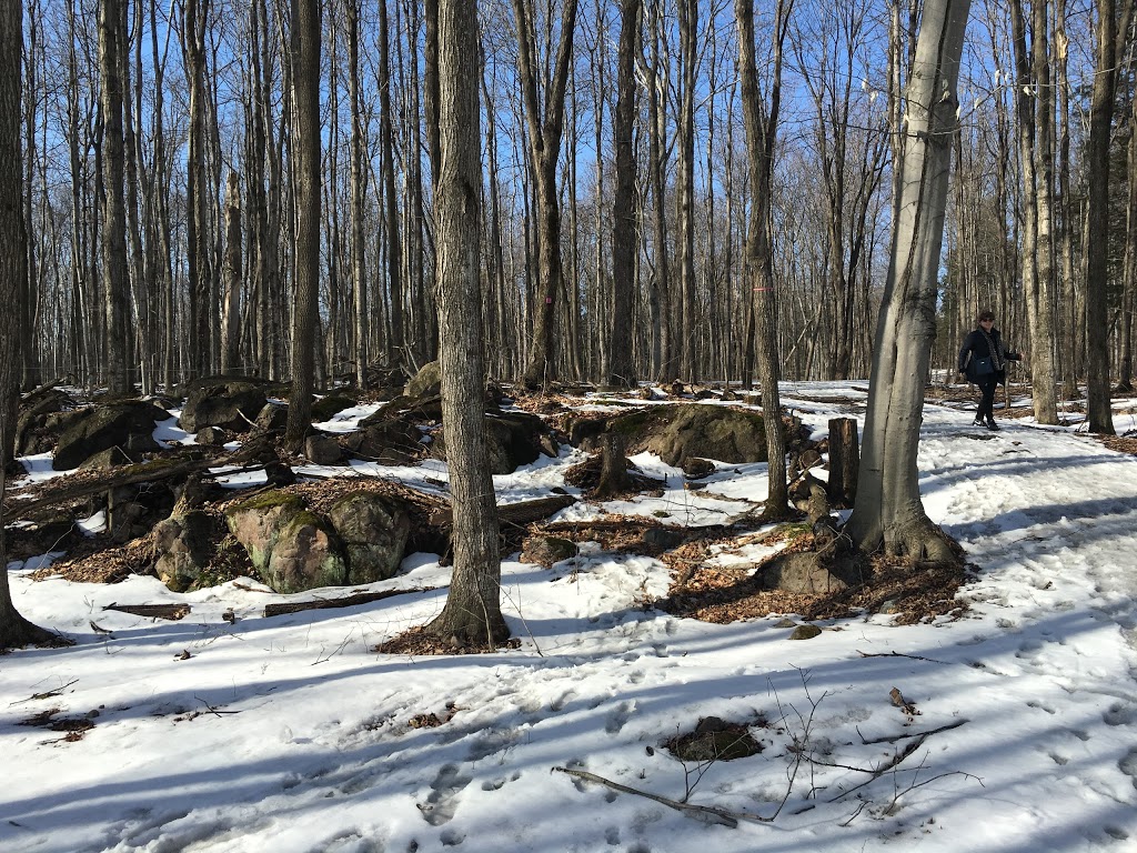 Olympia Park | Rue dOrléans, Pierrefonds, QC H8Y 1Y6, Canada