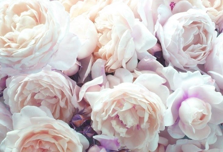 NU:YU Beauty MediSpa | 407-3414 Gateway Blvd NW, Edmonton, AB T6J 6R5, Canada | Phone: (780) 705-3020