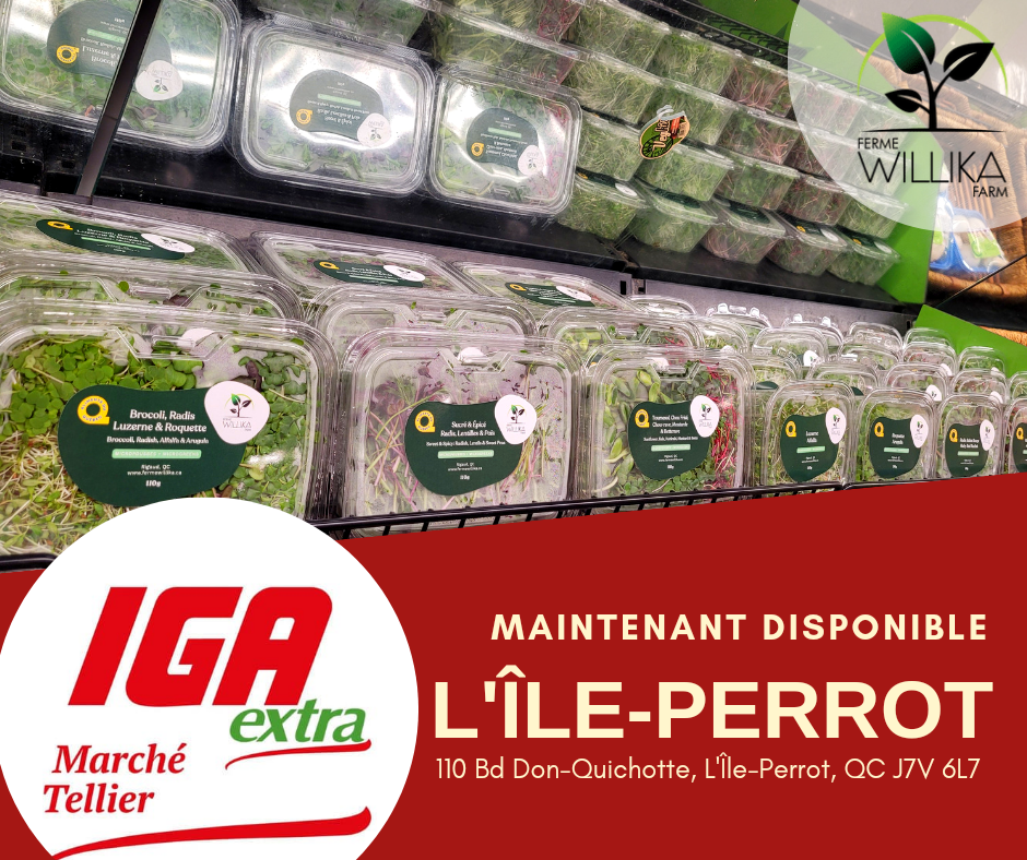 Ferme Willika inc. | 63 Chem. des Prés, Rigaud, QC J0P 1P0, Canada | Phone: (514) 880-2742