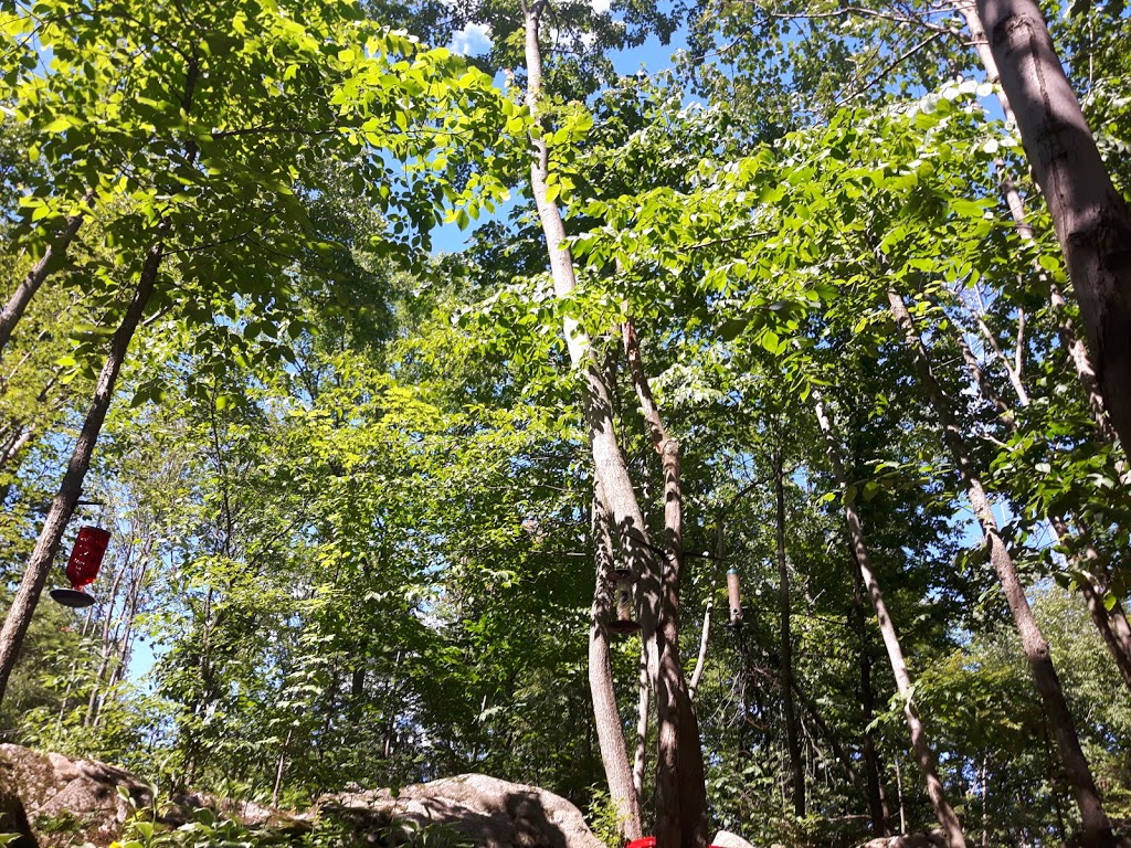 Camping St-Alphonse | 170 Rue du Camping, Saint-Alphonse-de-Granby, QC J0E 2A0, Canada | Phone: (450) 372-1440